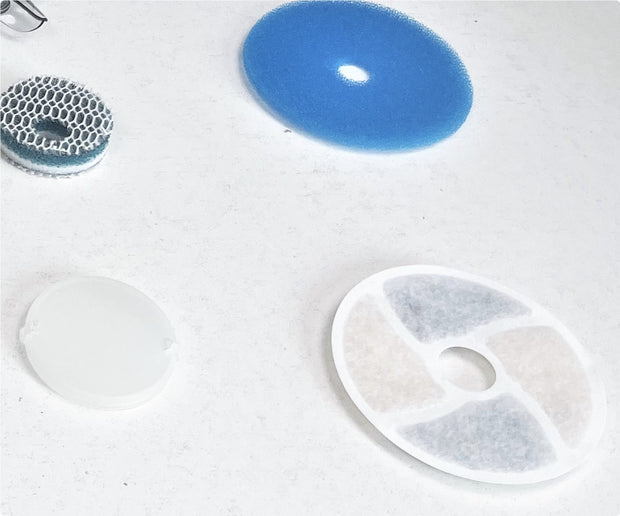 Temperature Pet Water Dispenser
