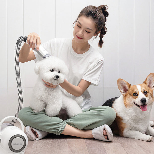 trimmers in pet hair  clippers and trimmers machine