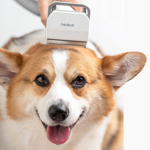 trimmers in pet hair  clippers and trimmers machine